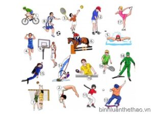 Từ vựng tiếng Anh về các môn thể thao